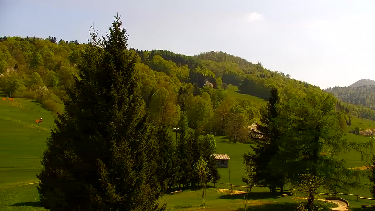 Camera en vivo Lokve – La belleza del bosque de Trnovo