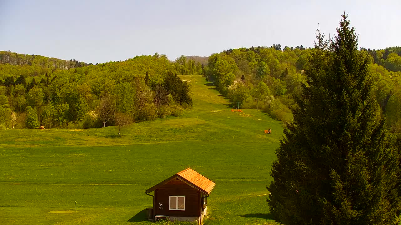 Webcam Lokve – The beauty of the Trnovo forest