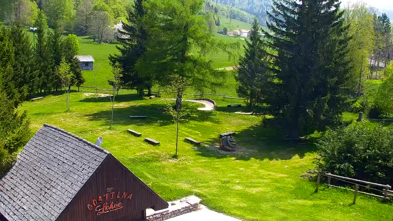 Webcam Lokve – The beauty of the Trnovo forest