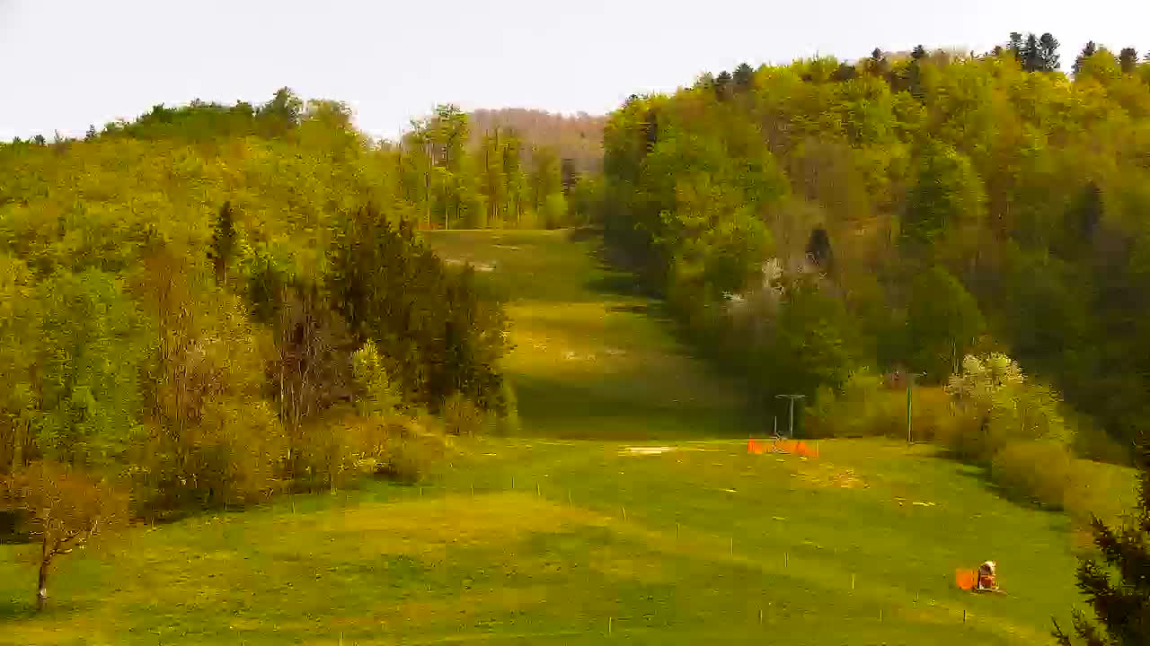 Webcam Lokve – The beauty of the Trnovo forest
