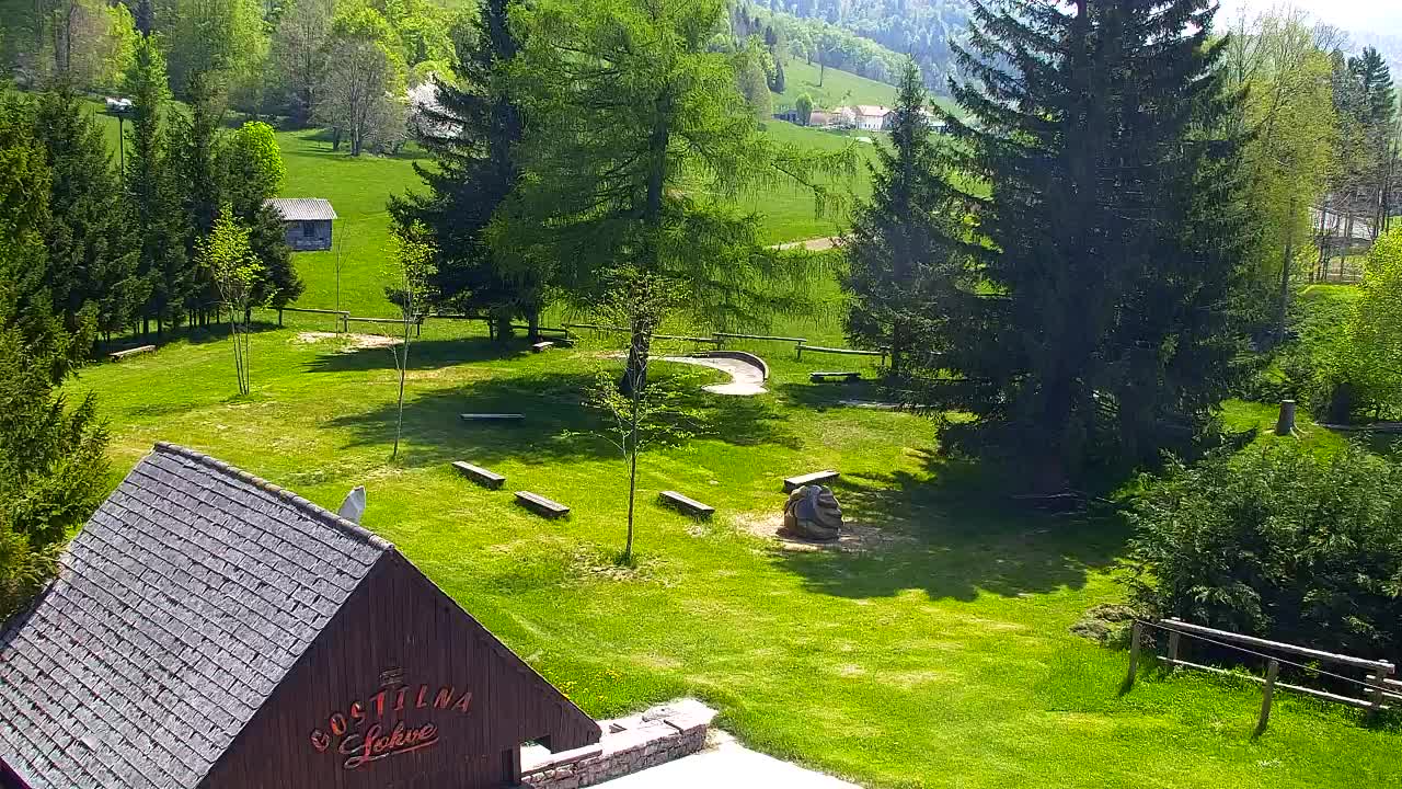 Webcam Lokve – The beauty of the Trnovo forest