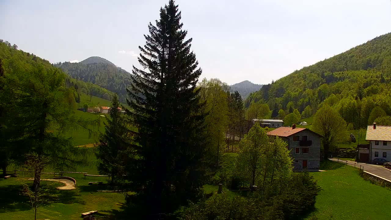 Webcam Loqua / Lokve – La bellezza della selva di Tarnova