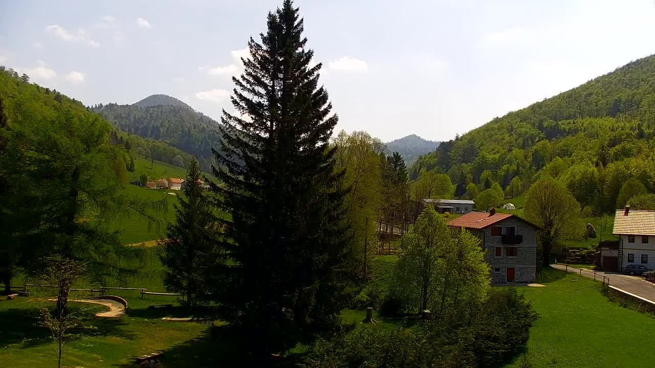 Webcam Lokve – Die Schönheit des Trnovo-Waldes