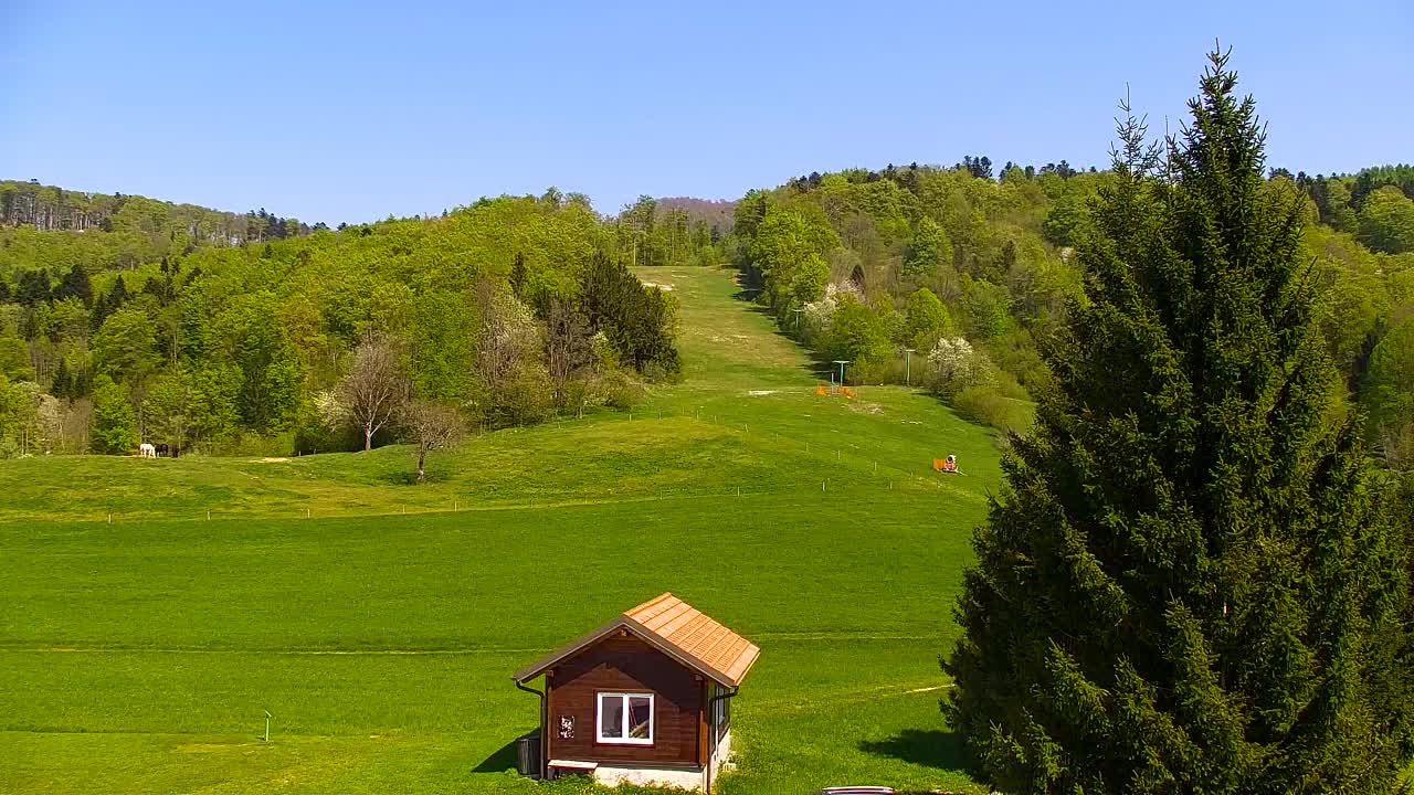 Webcam Lokve – Die Schönheit des Trnovo-Waldes