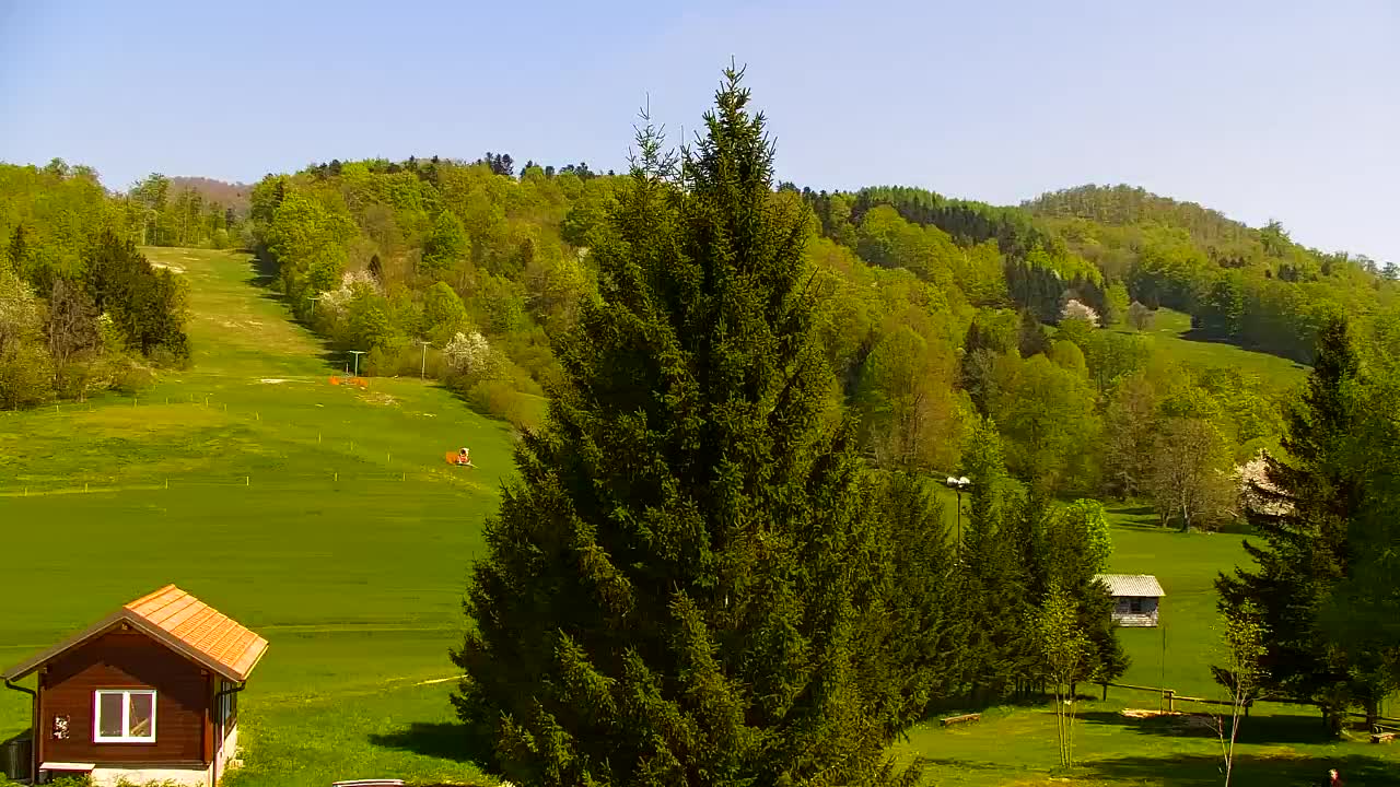 Webcam Lokve – The beauty of the Trnovo forest
