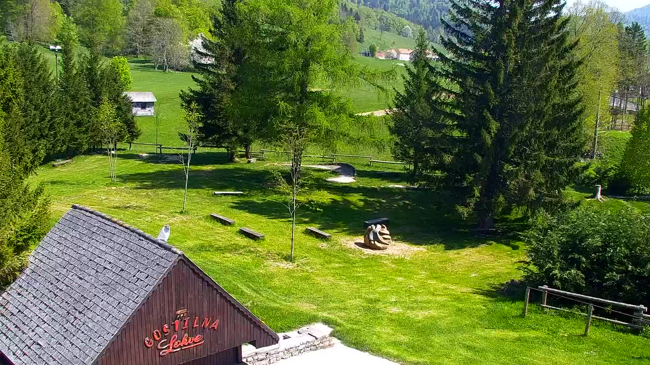 Camera en vivo Lokve – La belleza del bosque de Trnovo