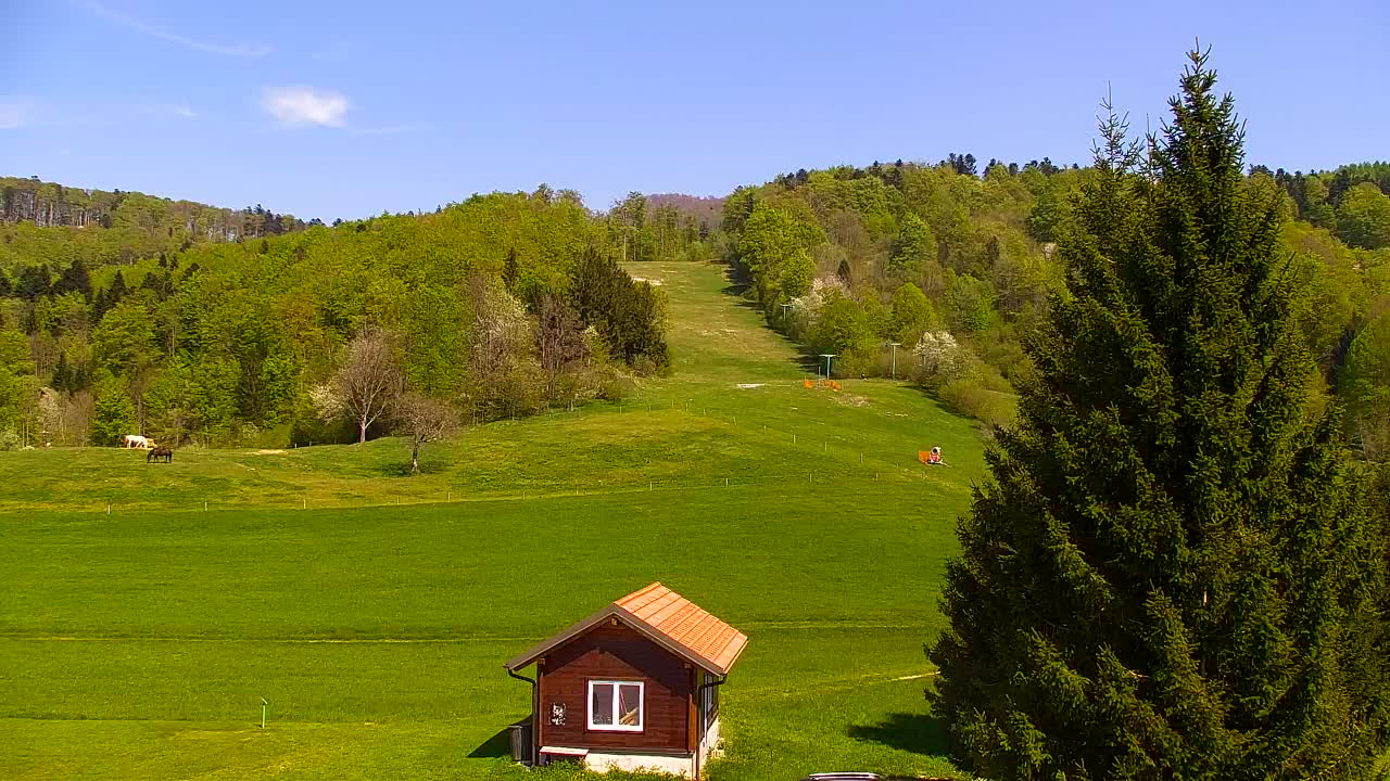 Webcam Lokve – The beauty of the Trnovo forest