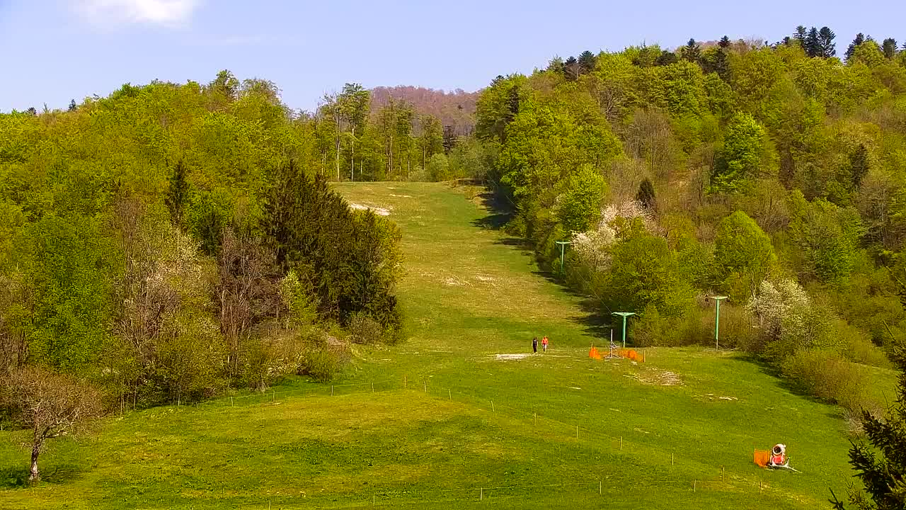 Webcam Lokve – The beauty of the Trnovo forest