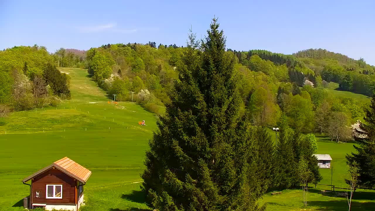 Webcam Lokve – The beauty of the Trnovo forest