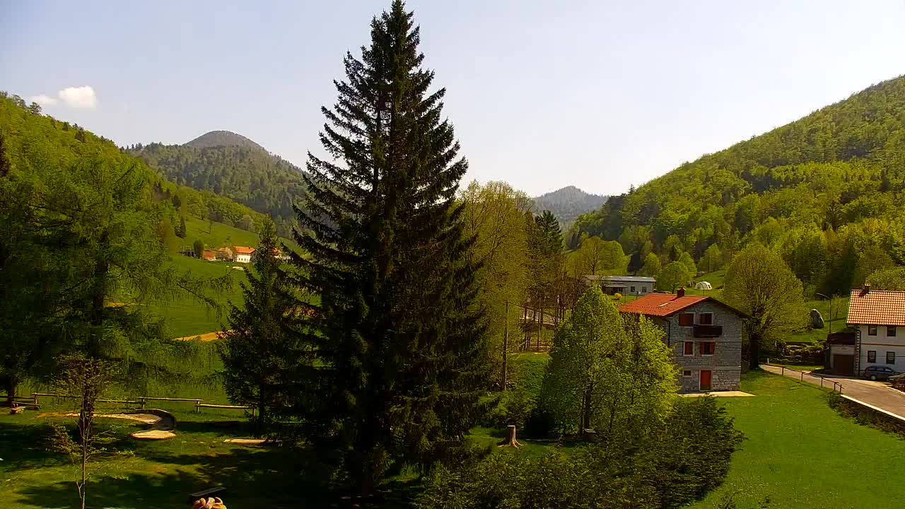 Webcam Lokve – The beauty of the Trnovo forest