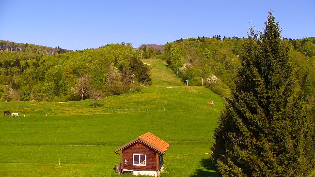 Webcam Lokve – The beauty of the Trnovo forest