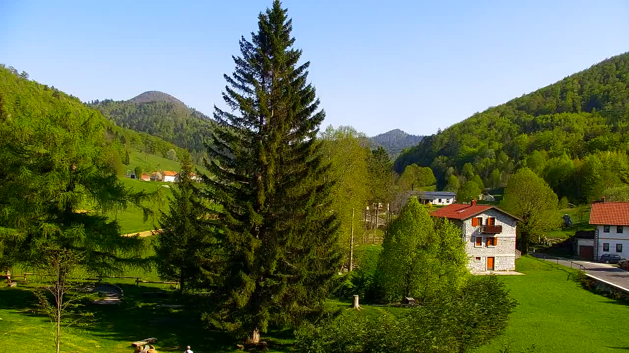 Webcam Lokve – The beauty of the Trnovo forest