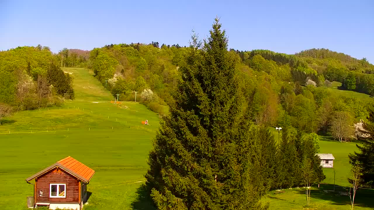 Webcam Lokve – The beauty of the Trnovo forest