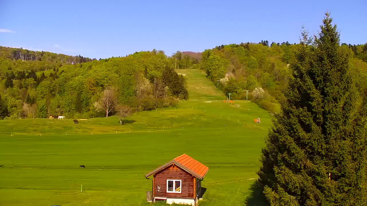 Webcam Lokve – The beauty of the Trnovo forest