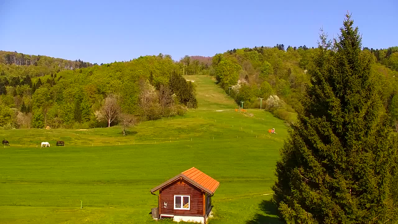 Lokve kamera – Naravne lepote Trnovskega gozda