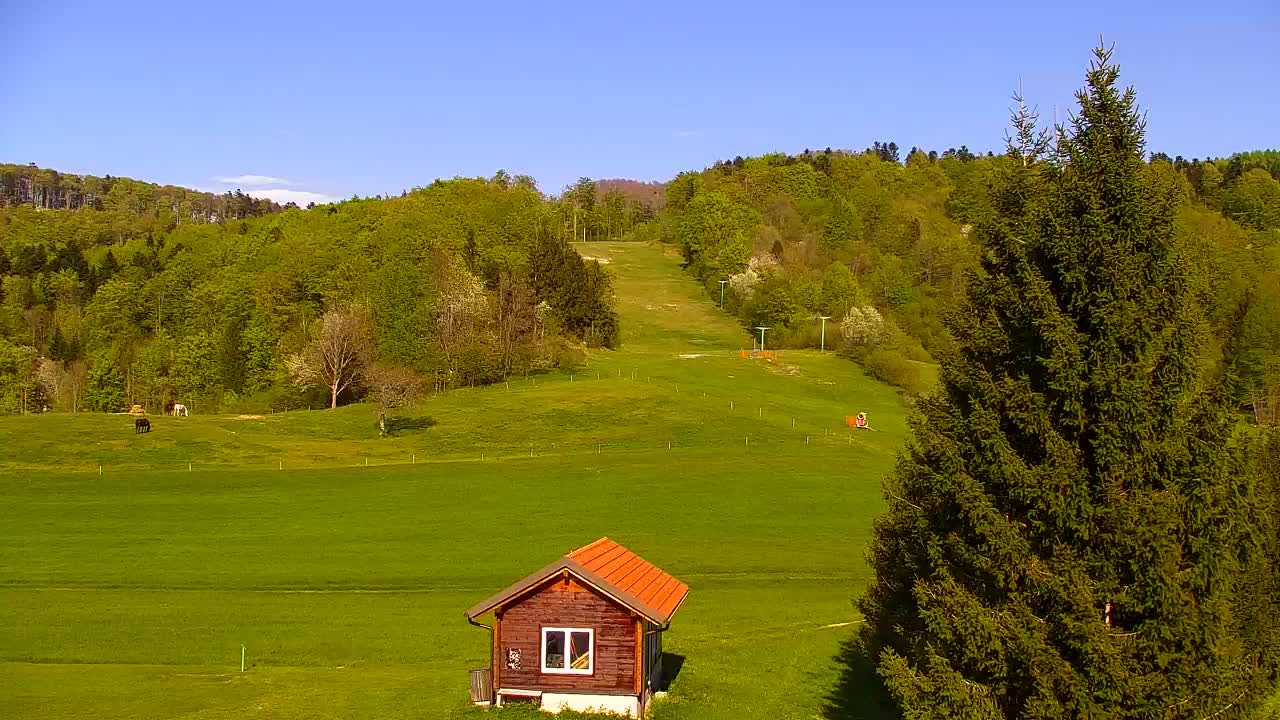 Webcam Loqua / Lokve – La bellezza della selva di Tarnova