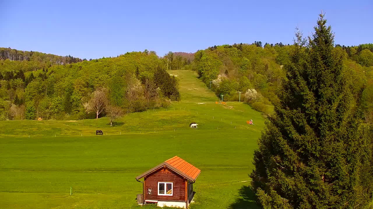 Webcam Lokve – The beauty of the Trnovo forest