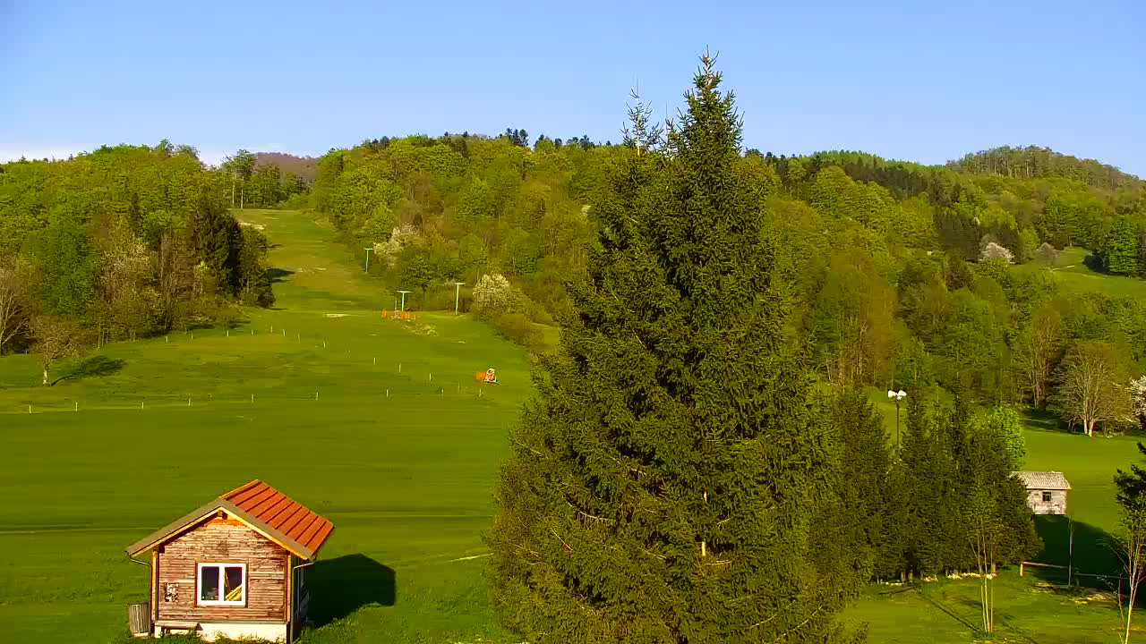 Webcam Loqua / Lokve – La bellezza della selva di Tarnova