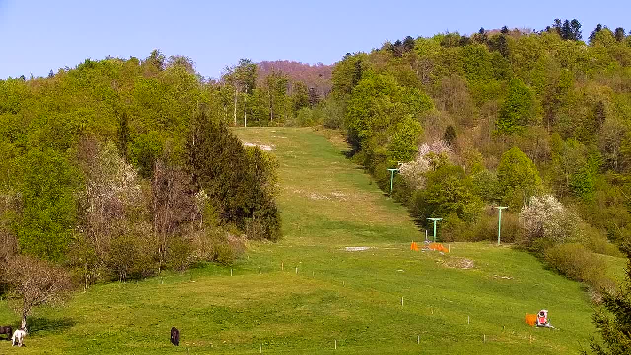 Webcam Lokve – The beauty of the Trnovo forest