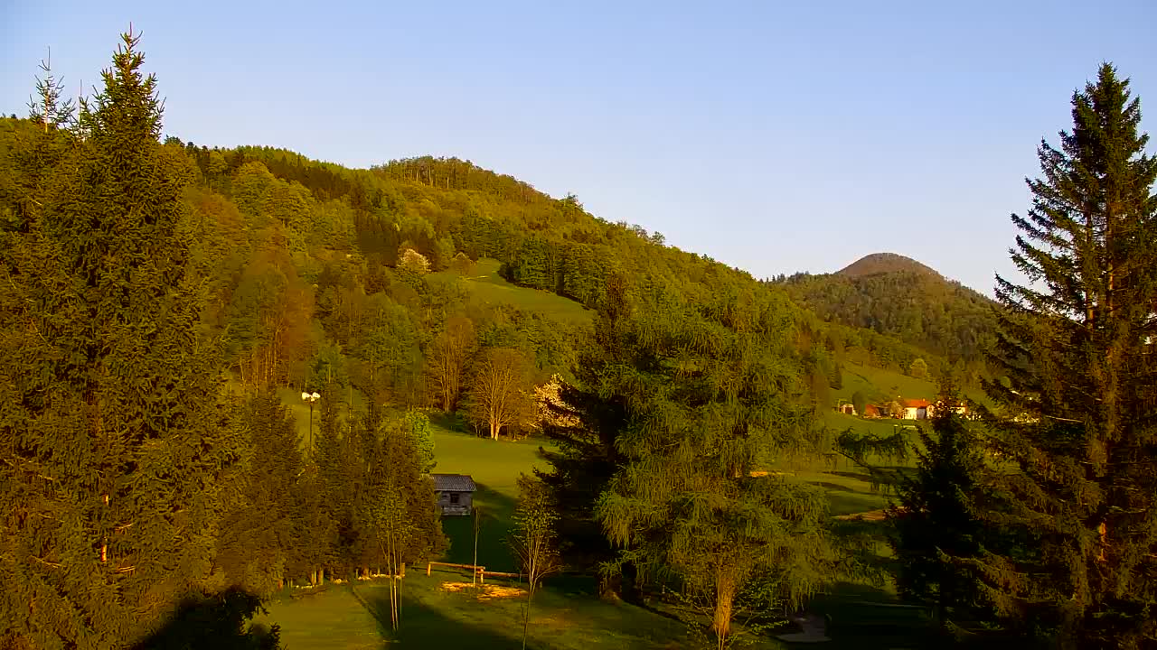 Webcam Lokve – Die Schönheit des Trnovo-Waldes