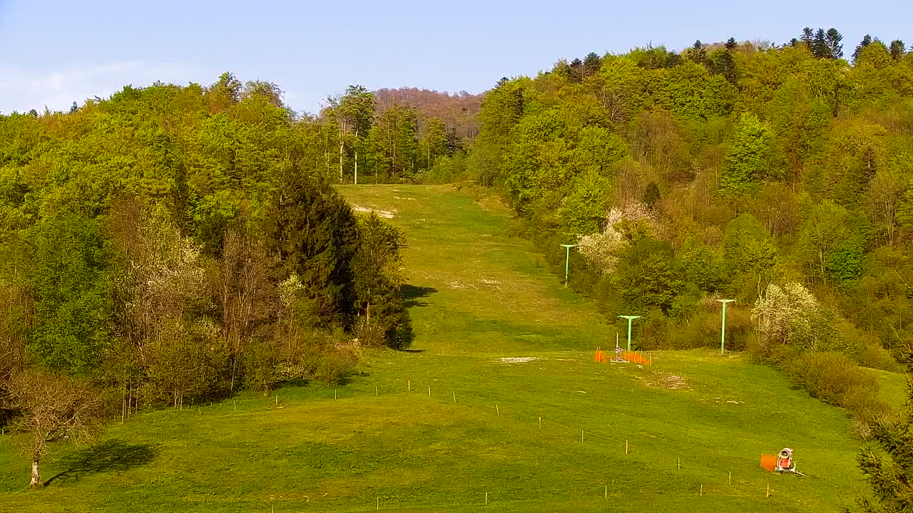 Webcam Lokve – The beauty of the Trnovo forest