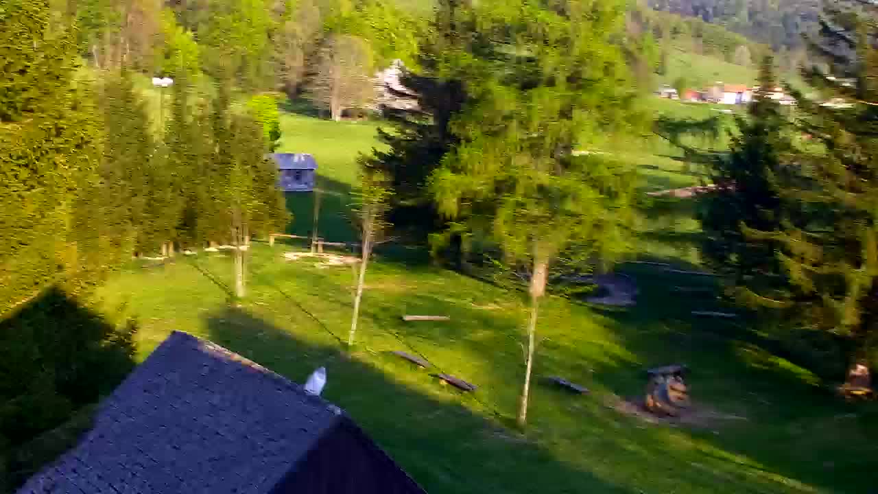 Webcam Lokve – The beauty of the Trnovo forest