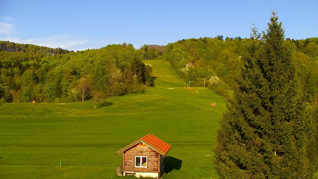 Webcam Lokve – Die Schönheit des Trnovo-Waldes