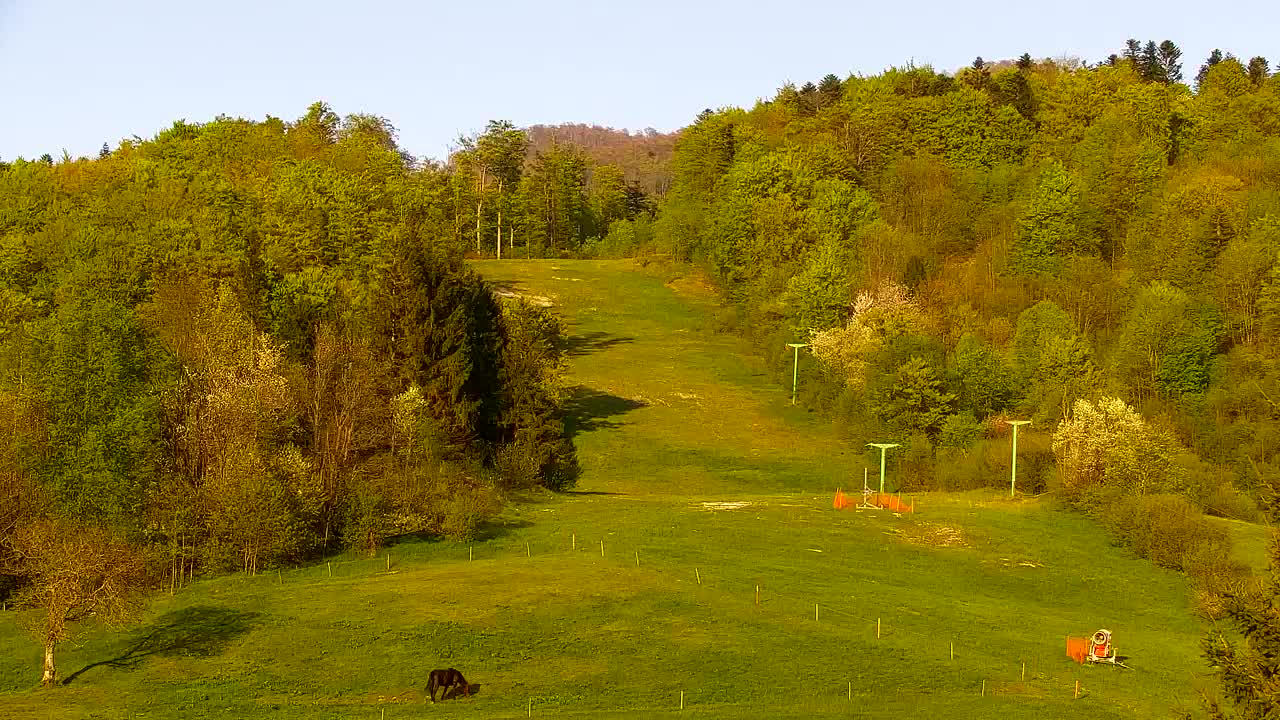 Webcam Lokve – The beauty of the Trnovo forest