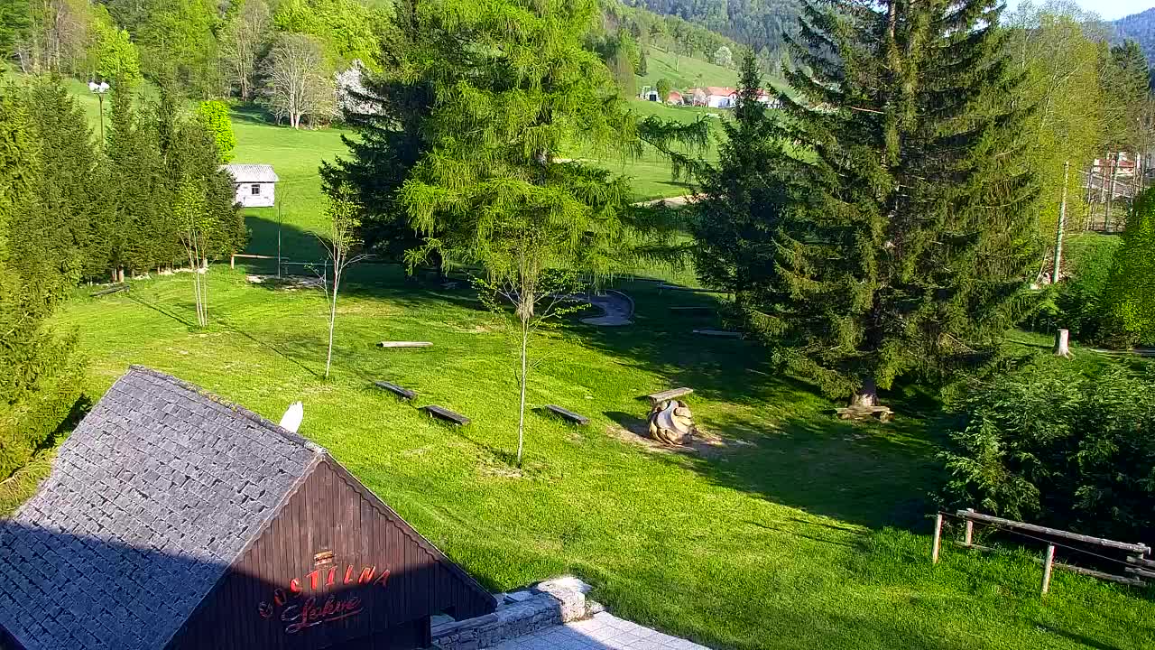 Webcam Lokve – The beauty of the Trnovo forest