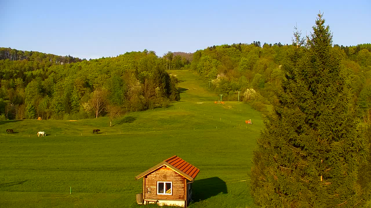 Webcam Lokve – The beauty of the Trnovo forest