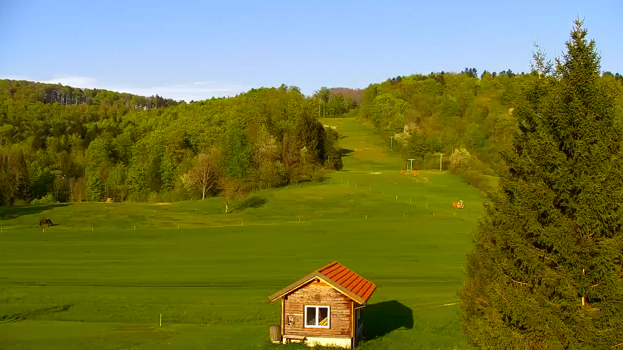 Webcam Lokve – The beauty of the Trnovo forest