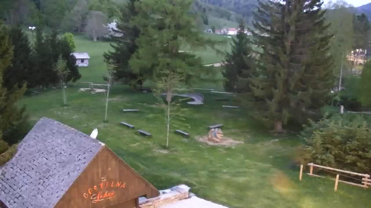 Webcam Loqua / Lokve – La bellezza della selva di Tarnova