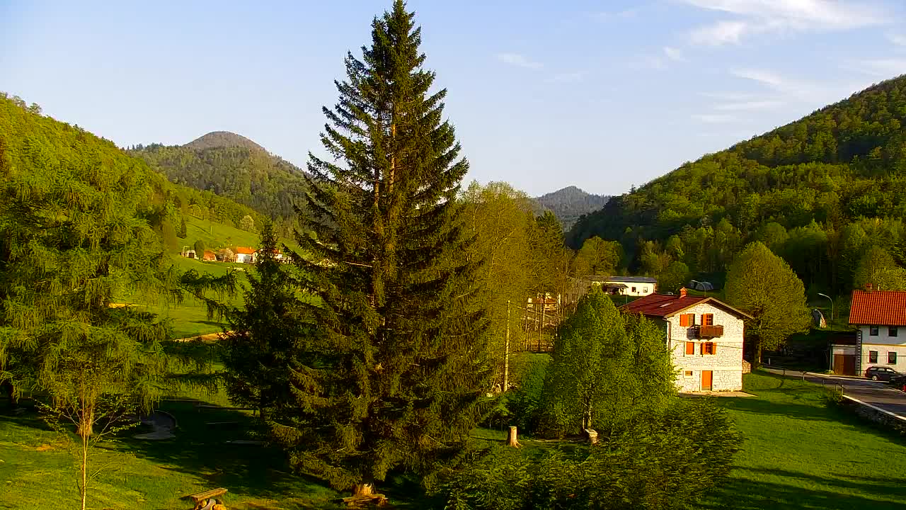 Webcam Lokve – The beauty of the Trnovo forest