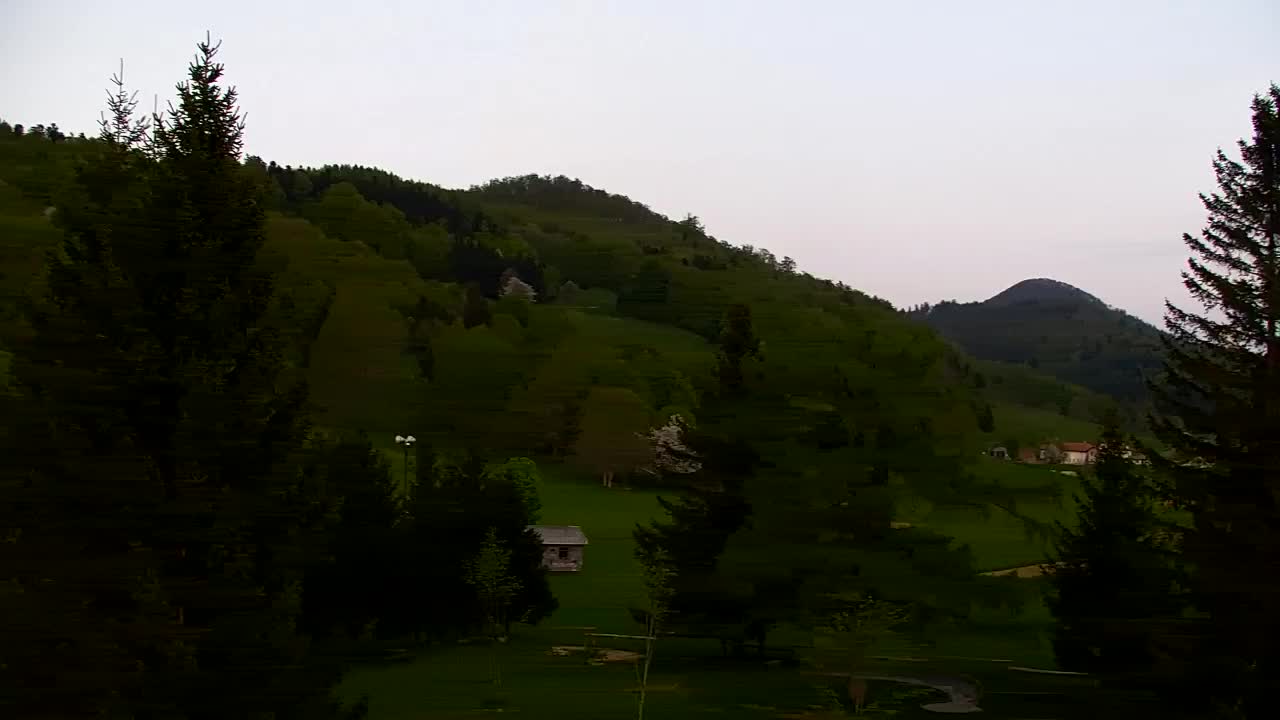 Webcam Loqua / Lokve – La bellezza della selva di Tarnova