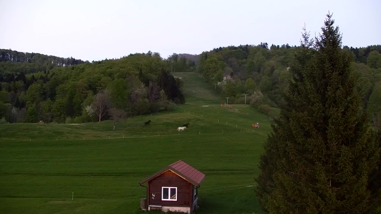 Webcam Lokve – La beauté de la forêt de Trnovo