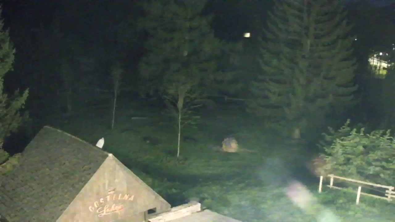 Webcam Loqua / Lokve – La bellezza della selva di Tarnova