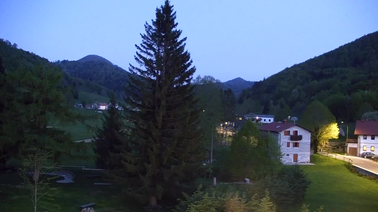 Webcam Loqua / Lokve – La bellezza della selva di Tarnova