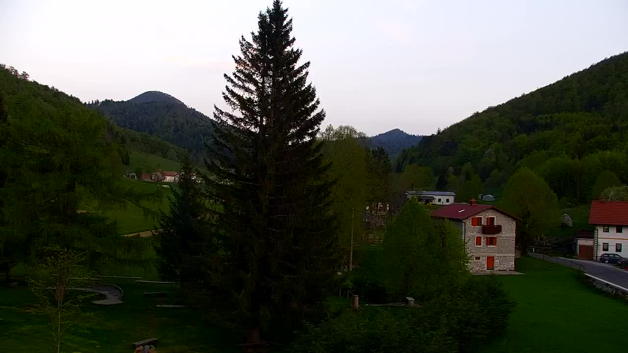 Webcam Lokve – La beauté de la forêt de Trnovo
