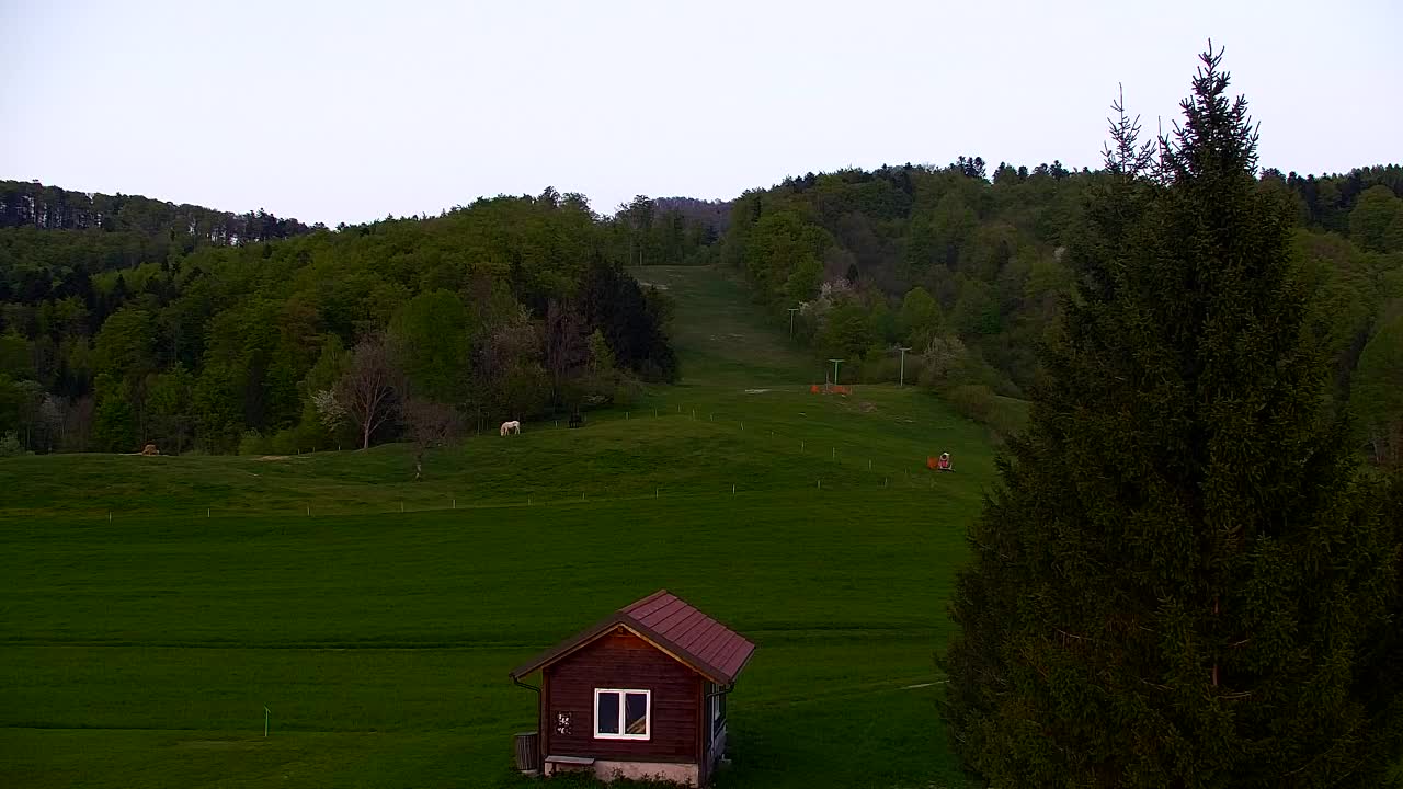 Webcam Lokve – La beauté de la forêt de Trnovo