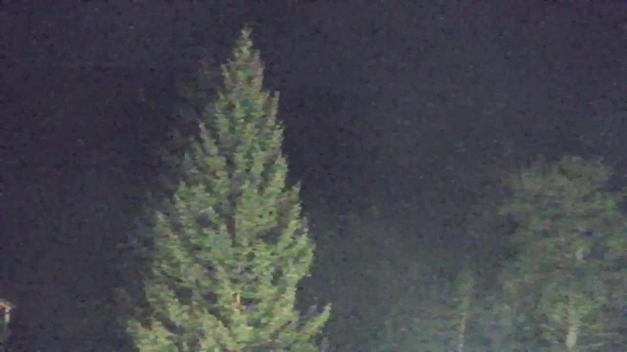 Webcam Lokve – La beauté de la forêt de Trnovo