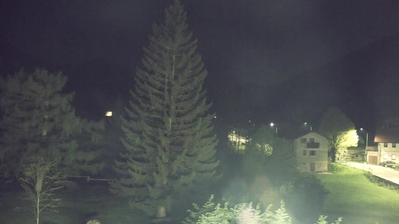 Webcam Lokve – The beauty of the Trnovo forest