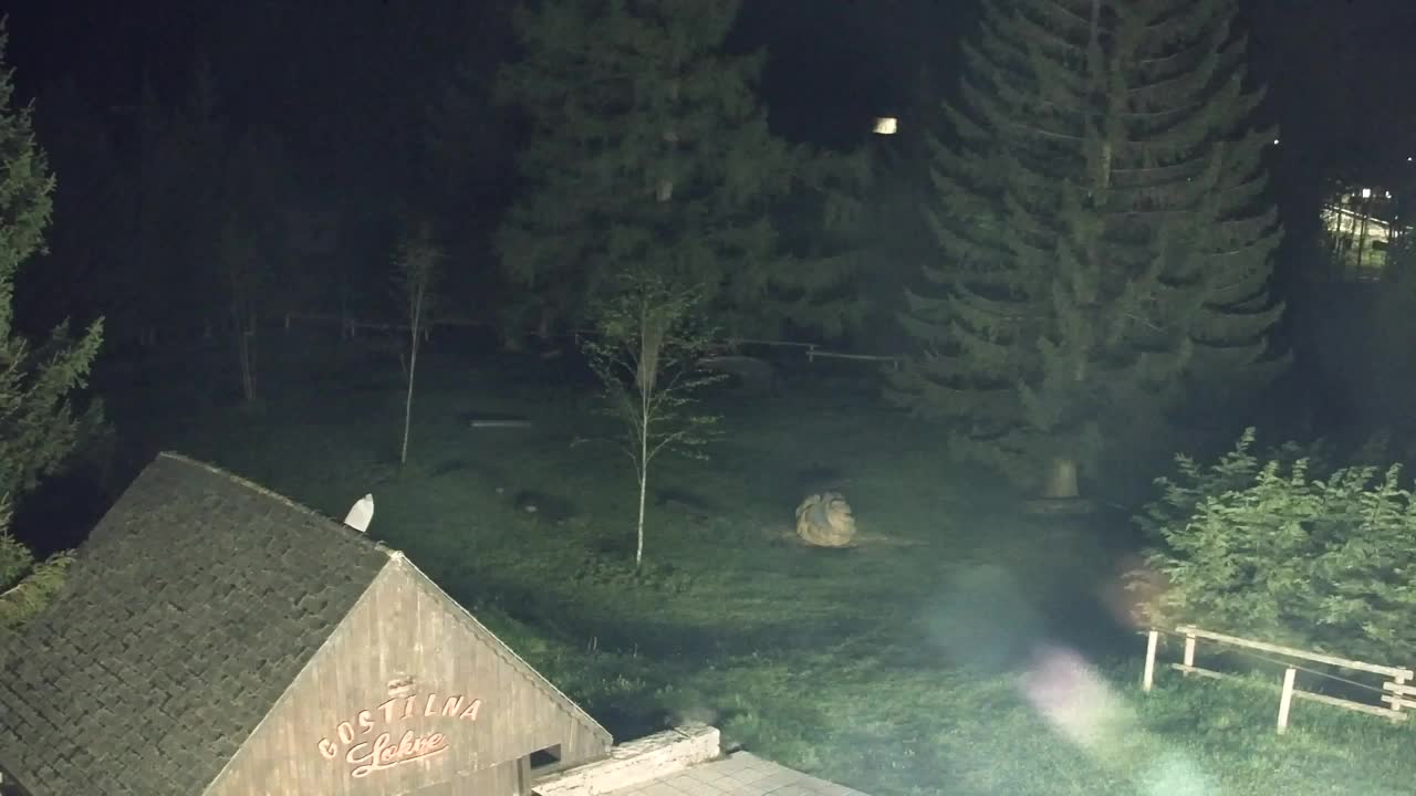 Webcam Loqua / Lokve – La bellezza della selva di Tarnova