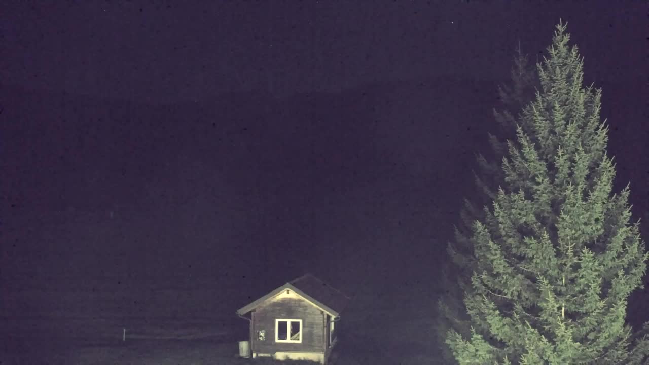 Webcam Lokve – La beauté de la forêt de Trnovo