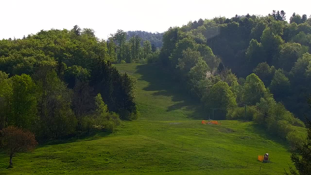Webcam Loqua / Lokve – La bellezza della selva di Tarnova