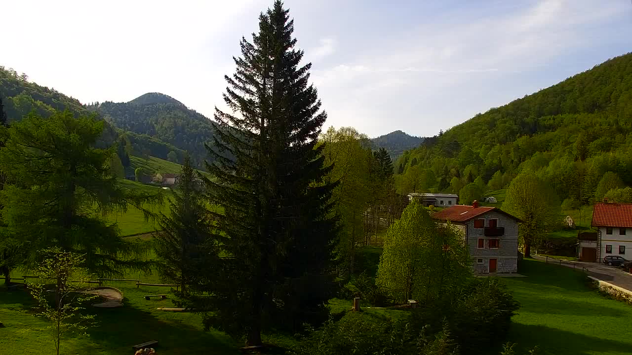 Webcam Lokve – Die Schönheit des Trnovo-Waldes