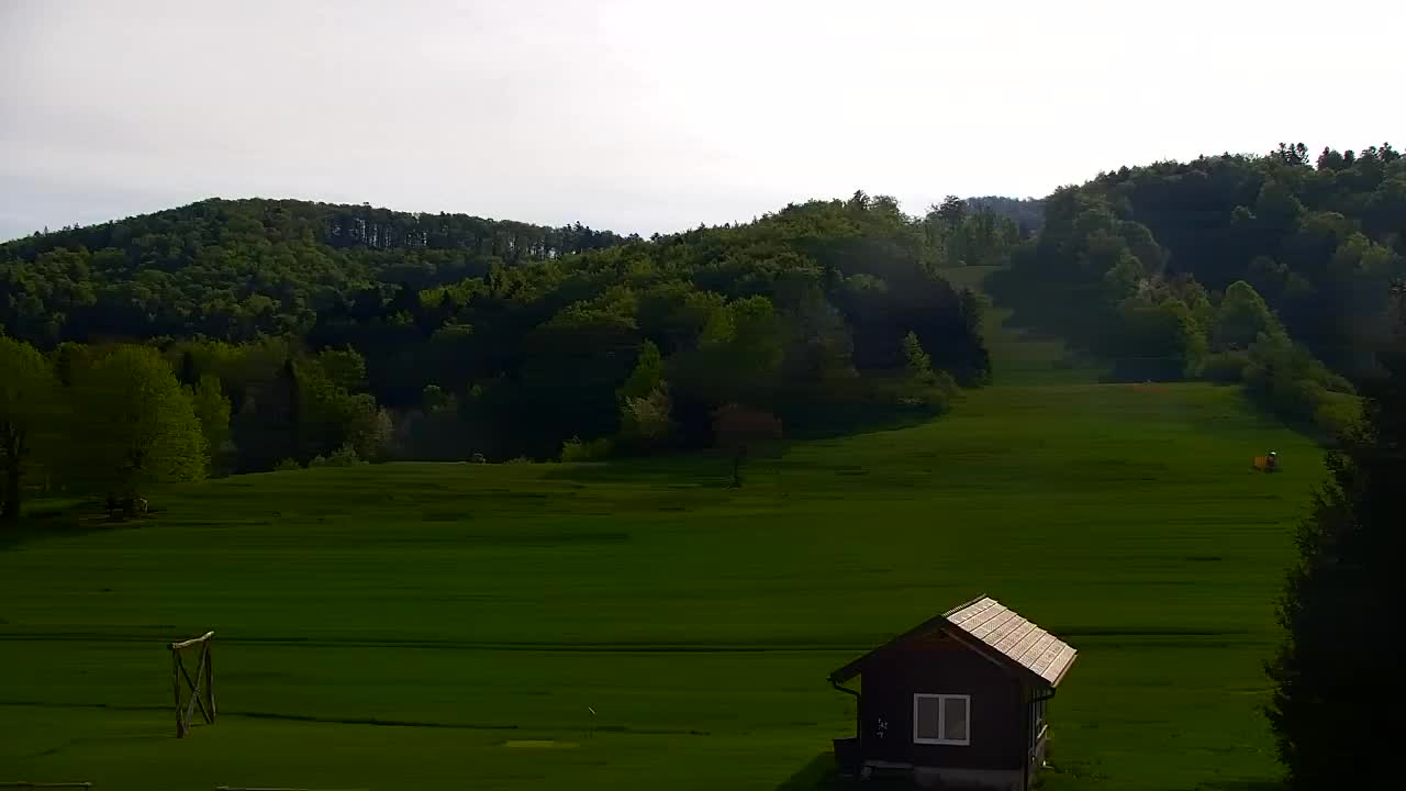 Webcam Lokve – The beauty of the Trnovo forest