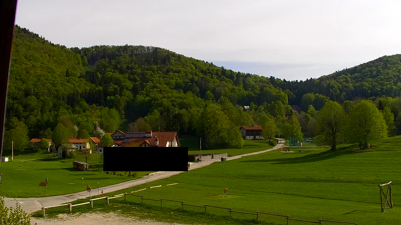 Webcam Lokve – La beauté de la forêt de Trnovo