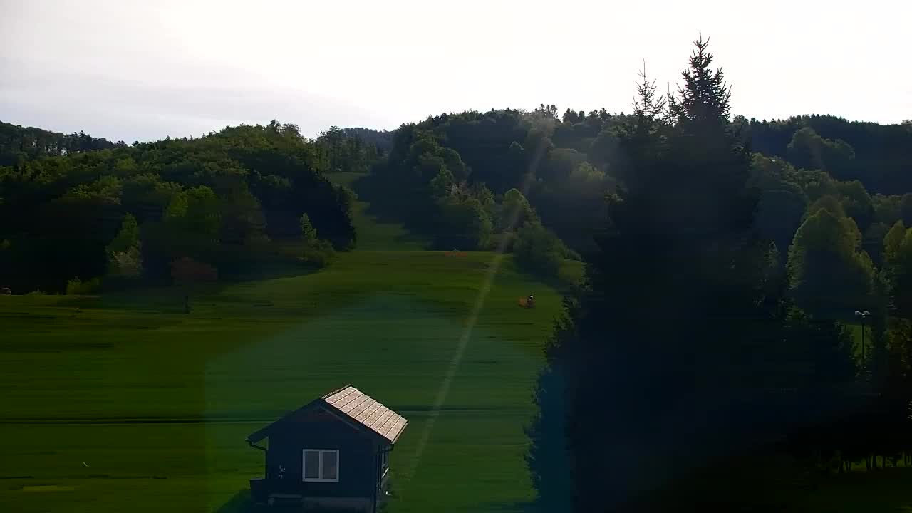 Webcam Lokve – The beauty of the Trnovo forest