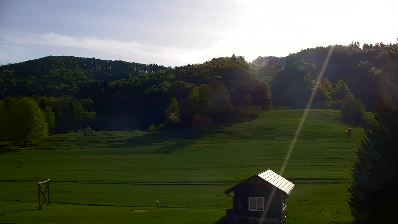 Webcam Lokve – The beauty of the Trnovo forest
