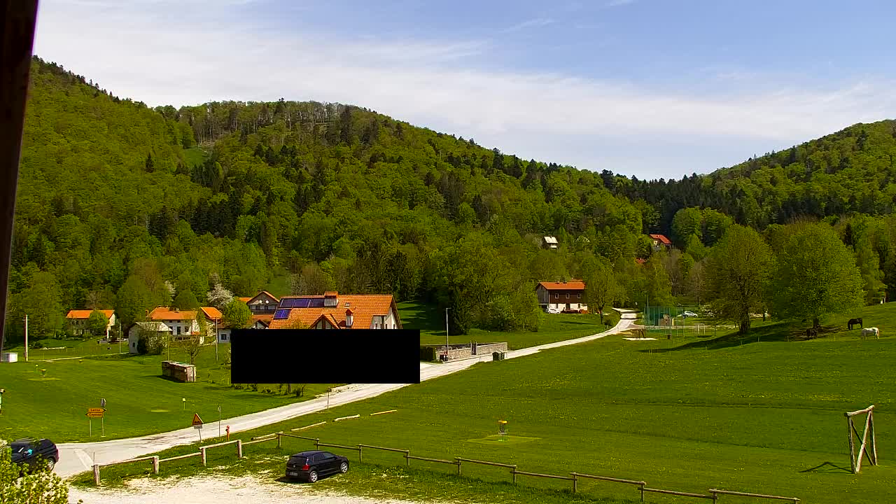 Webcam Loqua / Lokve – La bellezza della selva di Tarnova